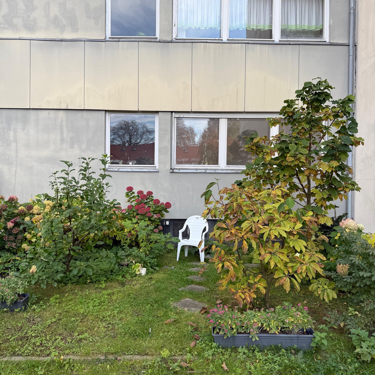 SHELLY CORAL - "STUHL IM GARTEN" - RELEASE SHOW